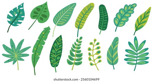 Palm leaf, tropical tree, banana leaves, jungle plant, exotic foliage vector icon. Hawaiian illustration. Cartoon summer fern, botanical collection, simple green set isolated on white background.