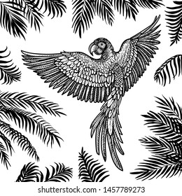 Palm leaf vector background with flying parrot. Tropical summer design with black silhouette leaves and macaw. Hand drawn engraved style.