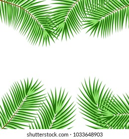 Palm Leaf Vector Background Illustration