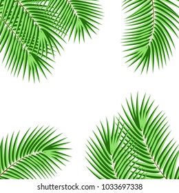 Palm Leaf Vector Background Illustration