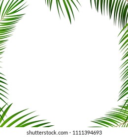 Palm Leaf Vector Background Illustration EPS10