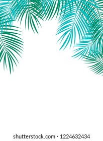 Palm Leaf Vector Background Illustration EPS10