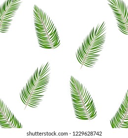 Palm Leaf Vector Background Illustration. EPS10
