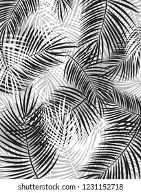 Palm Leaf Vector Background Illustration EPS10