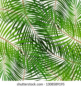 Palm Leaf Vector Background Illustration EPS10