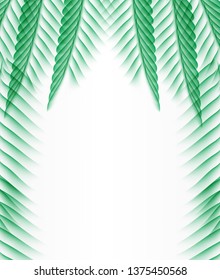 Palm Leaf Vector Background Illustration EPS10