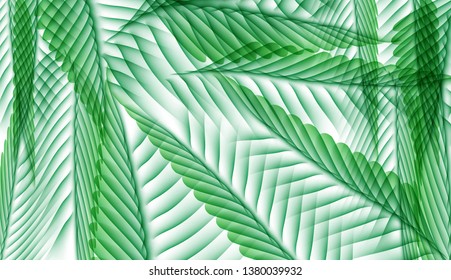 Palm Leaf Vector Background Illustration EPS10