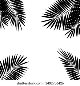 Palm Leaf Vector Background Illustration EPS10