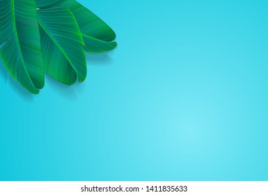 Palm Leaf Vector Background Illustration EPS10