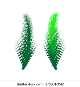 Palm Leaf Vector Background Illustration EPS10