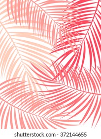 Palm Leaf Vector Background Illustration EPS10