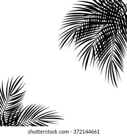 Palm Leaf Vector Background Illustration EPS10