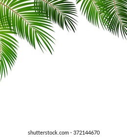 Palm Leaf Vector Background Illustration EPS10