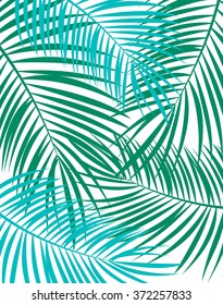 Palm Leaf Vector Background Illustration EPS10