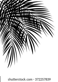 Palm Leaf Vector Background Illustration. EPS10