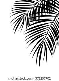 Palm Leaf Vector Background Illustration EPS10