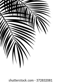 Palm Leaf Vector Background Illustration EPS10