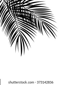 Palm Leaf Vector Background Illustration EPS10