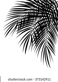 Palm Leaf Vector Background Illustration EPS10