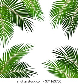 Ilustración EPS10 del fondo del vector de hoja de palma