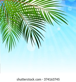 Palm Leaf Vector Background Illustration EPS10