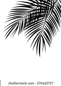 Palm Leaf Vector Background Illustration. EPS10