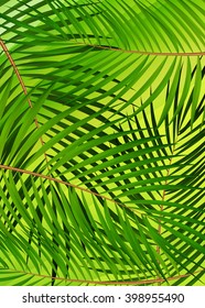 Palm Leaf Vector Background Illustration EPS10