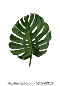Palm Leaf Vector Background Illustration on white background.