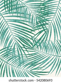 Palm Leaf Vector Background Illustration EPS10