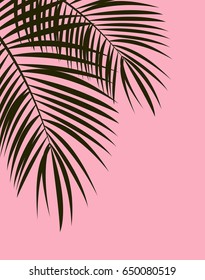 Palm Leaf Vector Background Illustration EPS10