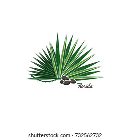 Palm Leaf Vector Background Illustration 