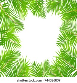 Palm Leaf Vector Background Illustration EPS10