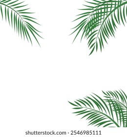 Palm leaf vector background. summer tropical palm leaves branch border. summer palm leaves on transparent background. exotic palms tree. floral background