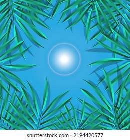 palm leaf vector for background Tropical palm leaf frame. Summer tropical leaves. summer greeting card