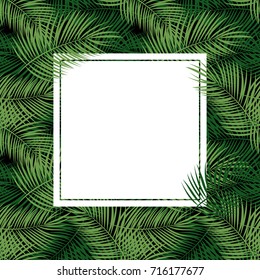 Palm Leaf Vector Background  with White Frame Illustration EPS10