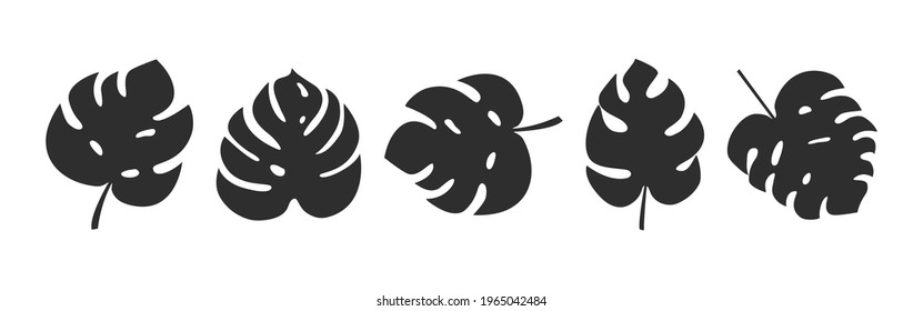 Palm leaf vector icon, monstera leaves set, black silhouettes, summer plants isolated on white background. Tropic illustration