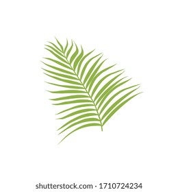 fondo de ilustración vectorial de la hoja de palma