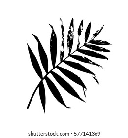 Palm leaf vector illustration. Black and white palm leaf silhouette. Isolated palm leaf.