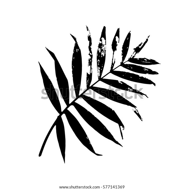 ヤシの葉のベクターイラスト 白黒のヤシの葉のシルエット ヤシの葉 のベクター画像素材 ロイヤリティフリー 577141369