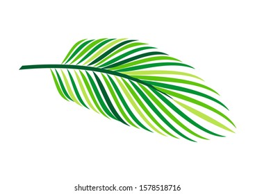 Palm leaf vector illustration design element