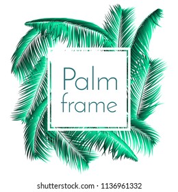 Palm Leaf Vector Illustration EPS10. Tropical Leaves. Realistic Coconut Foliage Set. Floral Elements. Collection of Jungle Plants. Summer Palm Leaf for Pattern, Print, Fabric or Your Trendy Design.