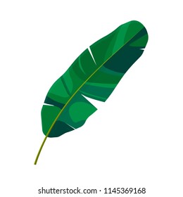 Palm Leaf Vector Illustration EPS10 isolated on white background