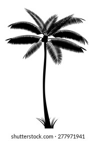 Realistic Palm Tree Silhouette Stock Vector (royalty Free) 123355582