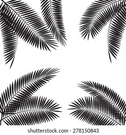 Palm Leaf Vector Illustration EPS10