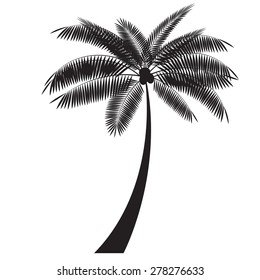 Palm Leaf Vector Illustration EPS10