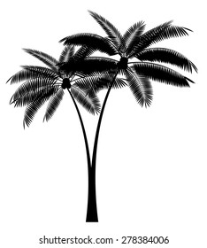 Palm Leaf Vector Illustration EPS10