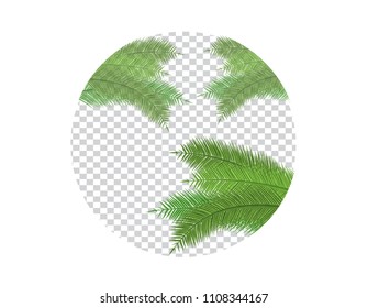 Palm Leaf Vector Illustration on Transparent Background EPS10