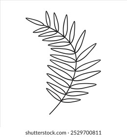 Palm leaf, vector illustration. Palm leaf, outline. Leaf for coloring page.