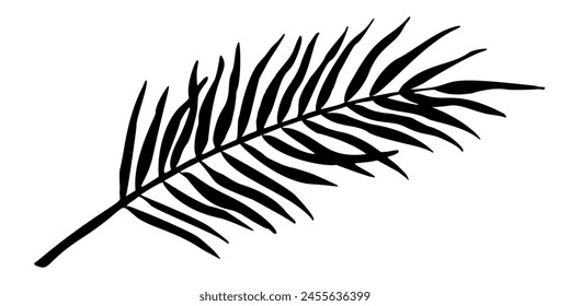 Palm Leaf vector illustration. Silhouette of branch. Jungle tropical tree in linear style on isolated background. Engraved sketch of rainforest foliage for icon or logo. Botanical painting of plant.