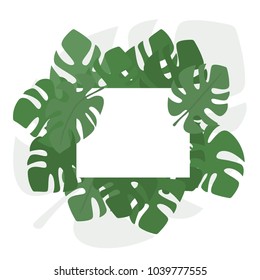 Palm leaf vector. The leaves of a banana tree. Tropical green leaves. The modern trend. Summer pattern. Place for text. Frame for text. Summer Style